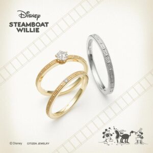 ディズニースチームボートウィリーのセットリング　トゥーリズム